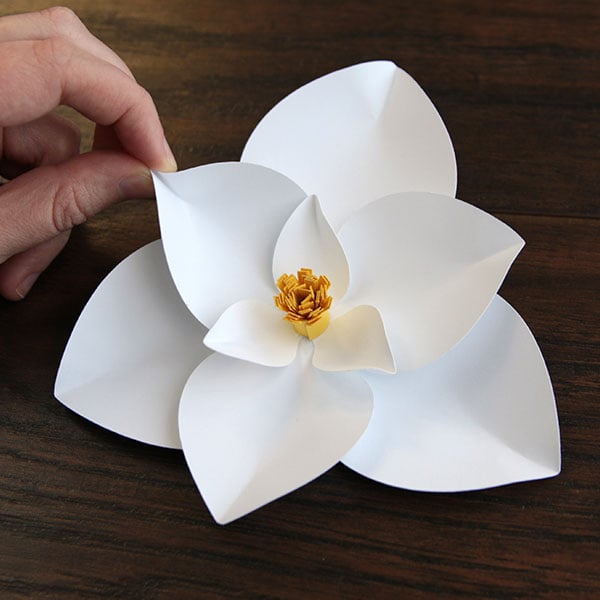 ReDesign, Magnolia Flowers, Knead 3-D shape