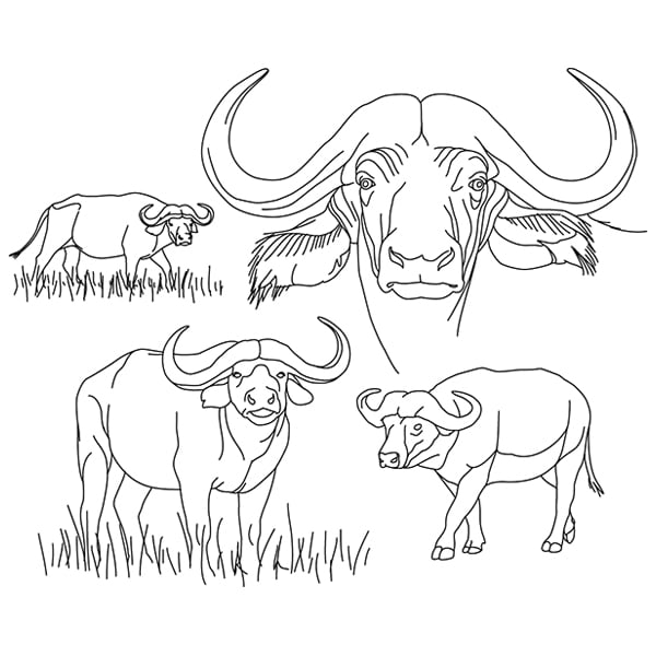 Monochrome graphic drawing of a buffalo bull with big horns 22452667 PNG