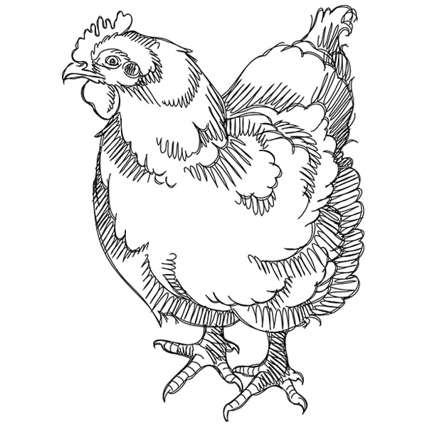 Cute Simple Laying Chicken Cartoon Emoji Vinyl Sticker (8
