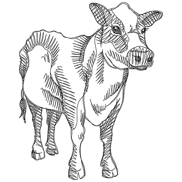 42,185 Cow Sketch Royalty-Free Photos and Stock Images | Shutterstock