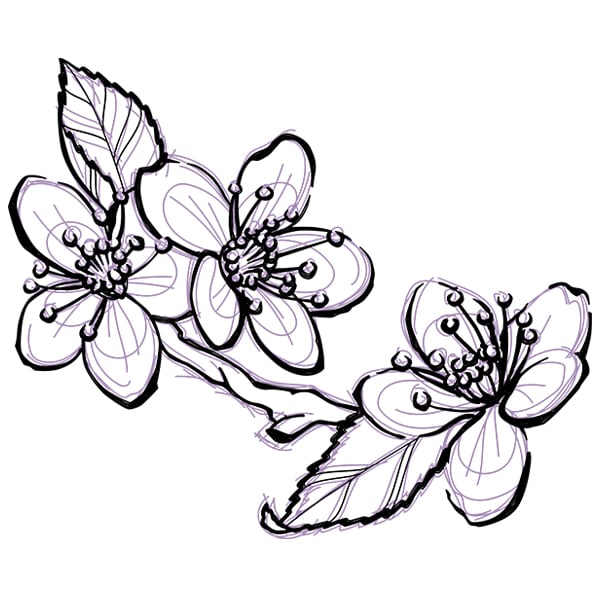 cherry blossom black and white drawing tattoo