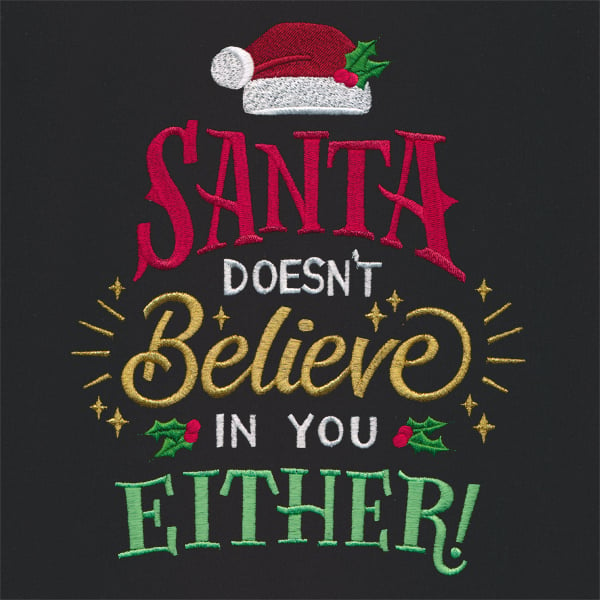 Santa Doesn't Believe in You Either