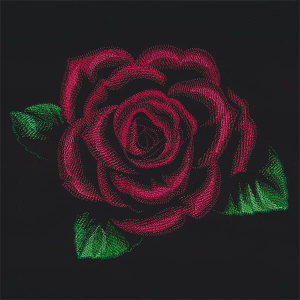 Night Garden Rose