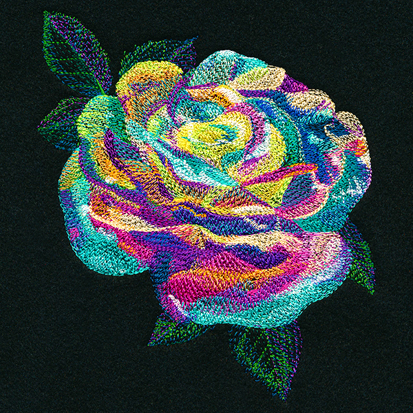 Luminous Rose