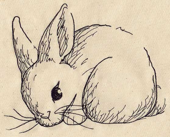 Top 140+ rabbit sketch photo - in.eteachers