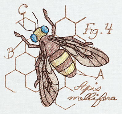 Miniature Menagerie Honeybee Diagram