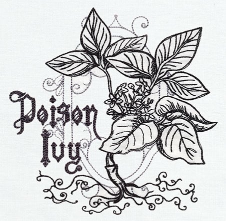 Poison Ivy | Wrestling JAT Wiki | Fandom