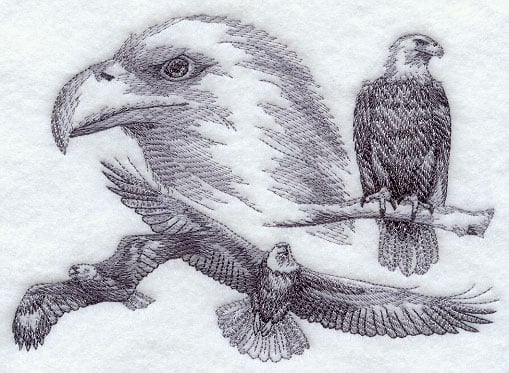 Rohit Dabhade - Eagle Sketch