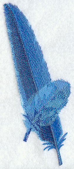 Hyacinth Macaw Feathers