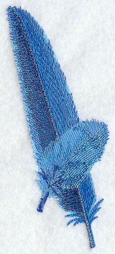 Hyacinth Macaw Feathers