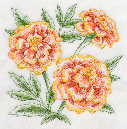 Drawing pot marigold Royalty Free Vector Image