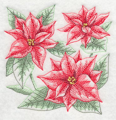 Christmas Flower Holiday Noel  Poinsettia Drawing Png  Free Transparent  PNG Clipart Images Download