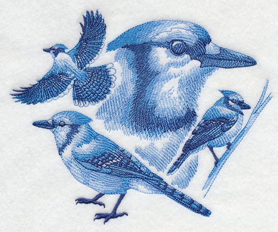Blue Drawing Jay Line Stock Illustrations – 44 Blue Drawing Jay