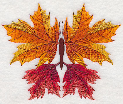 Maple Leaf Butterfly