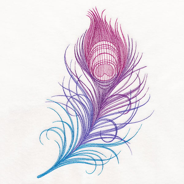 Ombre Peacock Feather
