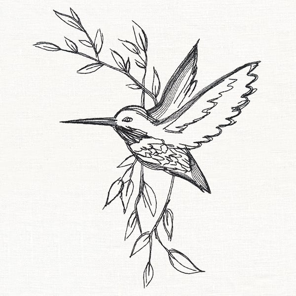 hummingbird and flower sketch
