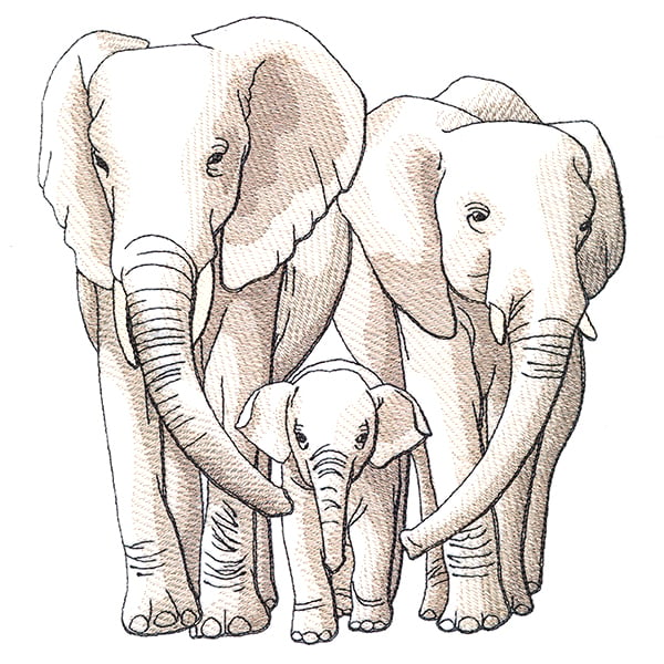 Elephant family sketch by WildMark on DeviantArt