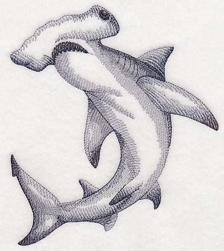 Shark Drawing Tutorial - How to draw Shark step by step