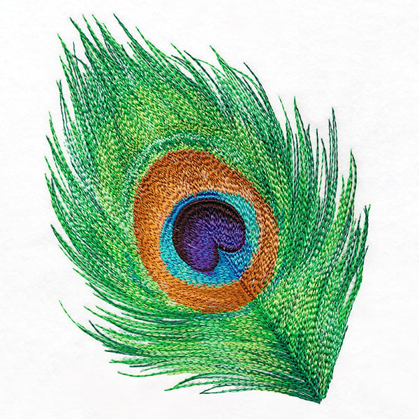 Colorful Feather Embroidery Design