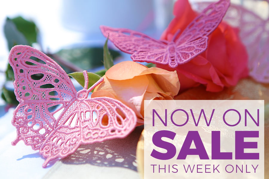 50% off select brunch-inspired designs - image features: freestanding lace butterflies
