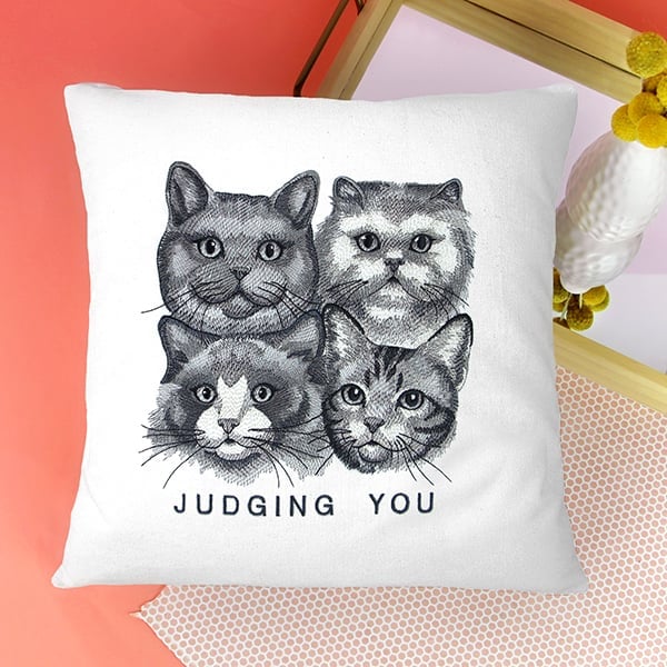 Judging you cat on pillow